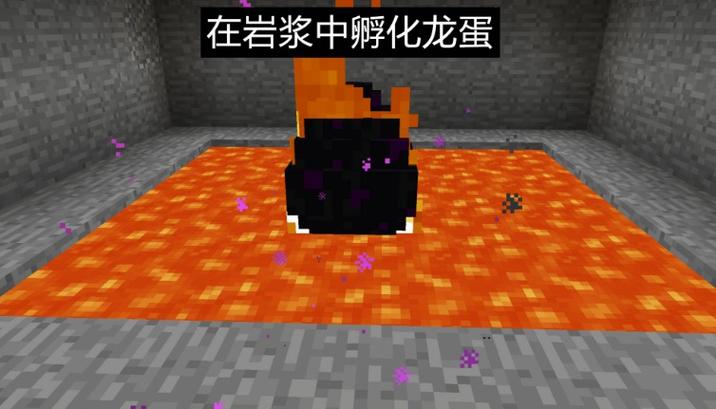 我的世界孵化龙蛋