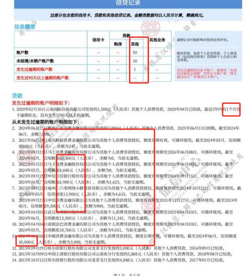 一年借了9次微粒贷征信花吗