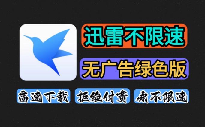 迅雷不限速破解版下载修复完整版游戏截图
