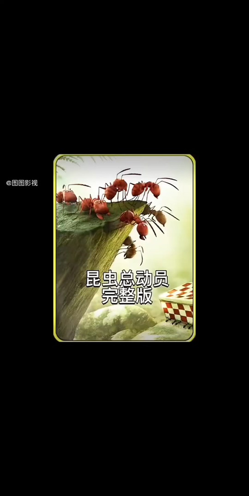 蚂蚁影视的特点