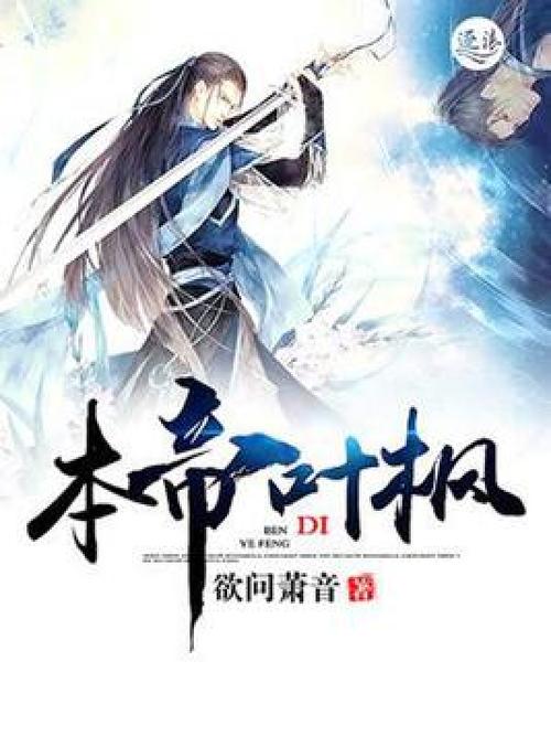 叶枫小说名字