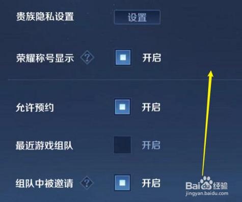 王者荣耀怎么设置不让别人观战纪念版游戏截图