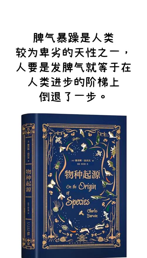 达文小说网官网