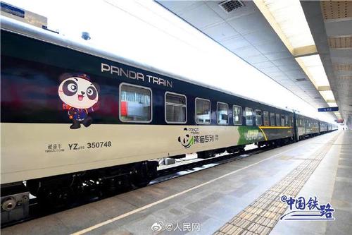panda-themed