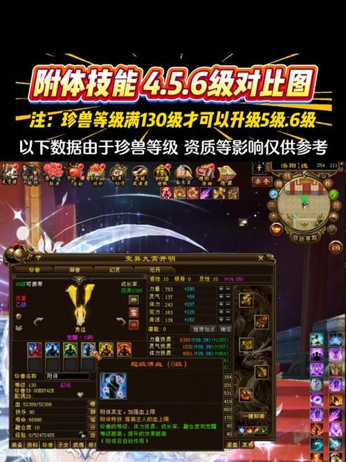 天龙八部附体技能等级加成
