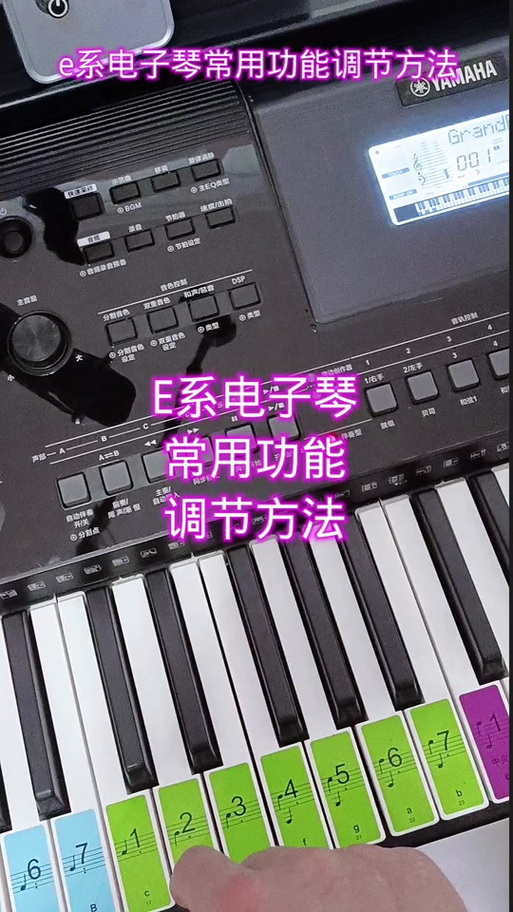 电子琴教学入门零基础官网最新版本游戏截图