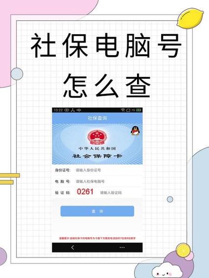 怎么查社保号