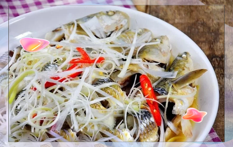 梭鱼可以直接冷冻吗