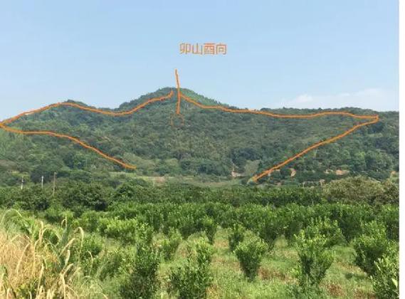 仙桥乌鸦插翅风水宝地