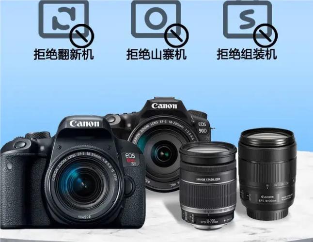 数码相机品牌排行榜前十名赚钱版游戏截图