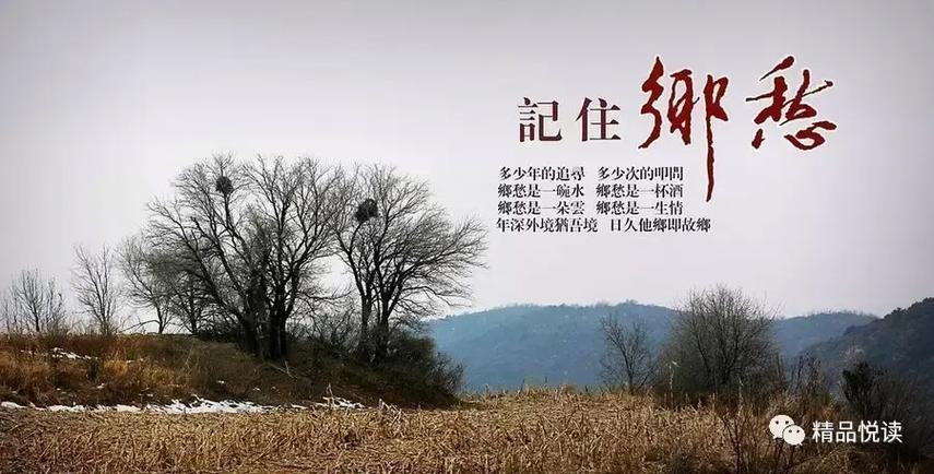 乡村最治愈心灵的文案极速版app游戏截图