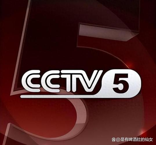 电视中央五台直播加速永久游戏截图