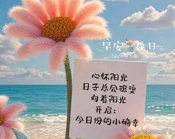 适合发早安的小视频