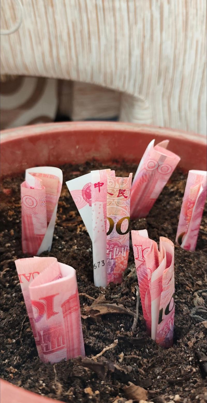趣味种树赚钱现金给力版游戏截图