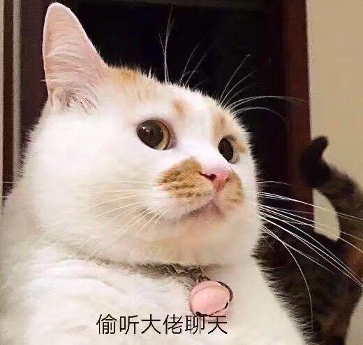 和大佬聊天需要注意什么