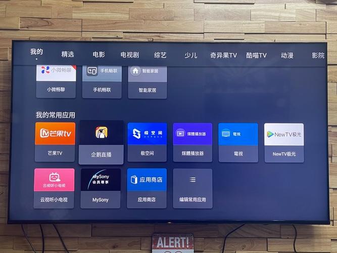 sony电视软件老闪退极速版app游戏截图