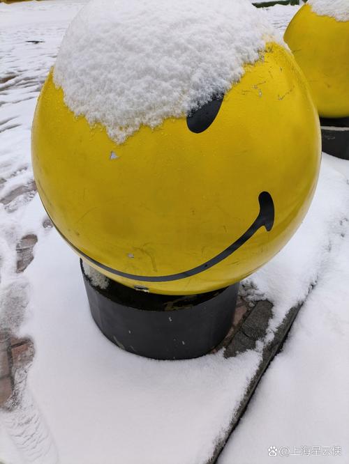 MOD作弊菜单(悬浮球)暖雪永久会员版游戏截图