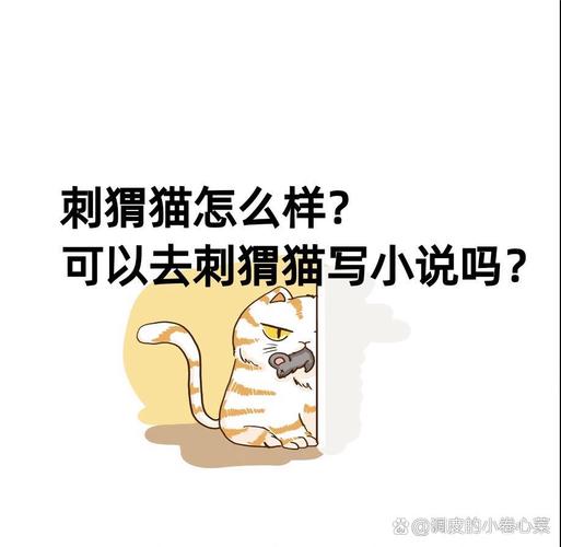 作者刺猬猫写的小说无删减游戏截图