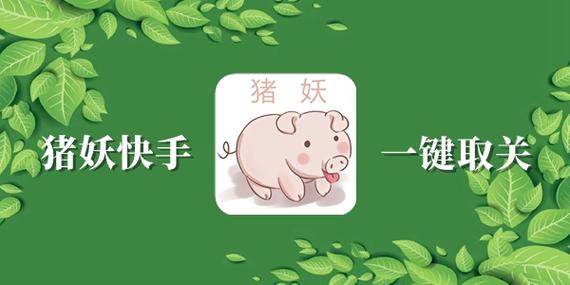 快手清空关注猪妖