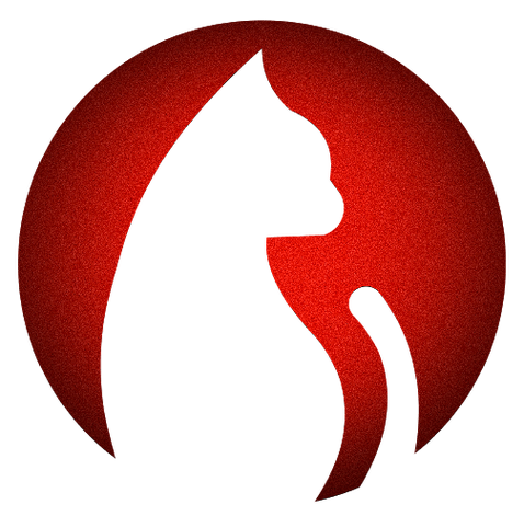 追剧猫app官方下载金手指版游戏截图