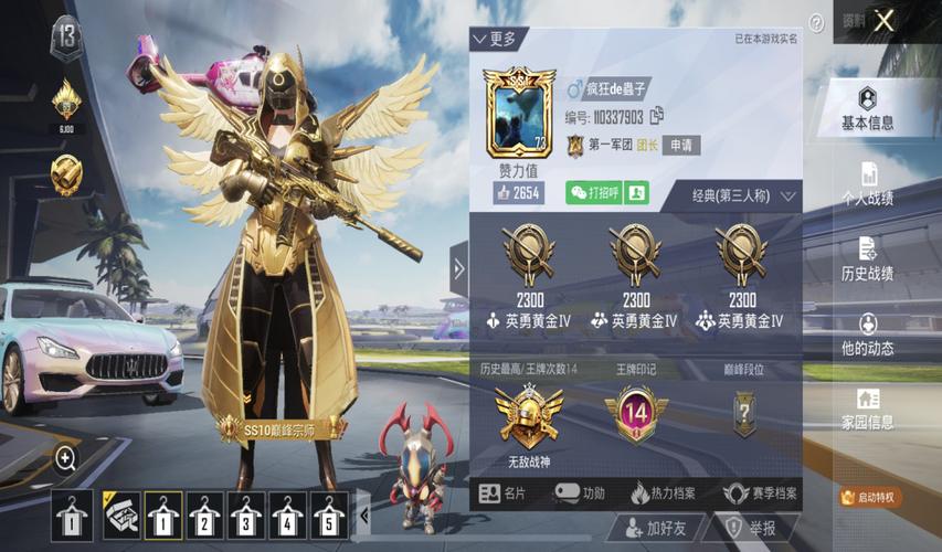 和平精英兵团是干什么的