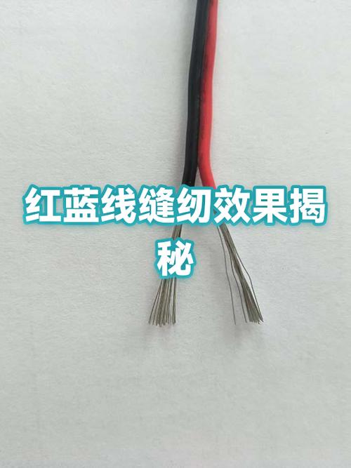 显示器有蓝色竖线