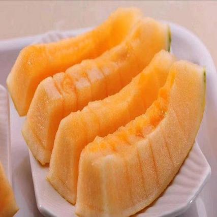 一个哈密瓜多少kg