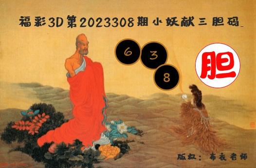 3D乐彩论坛字谜专区下拉式vip游戏截图
