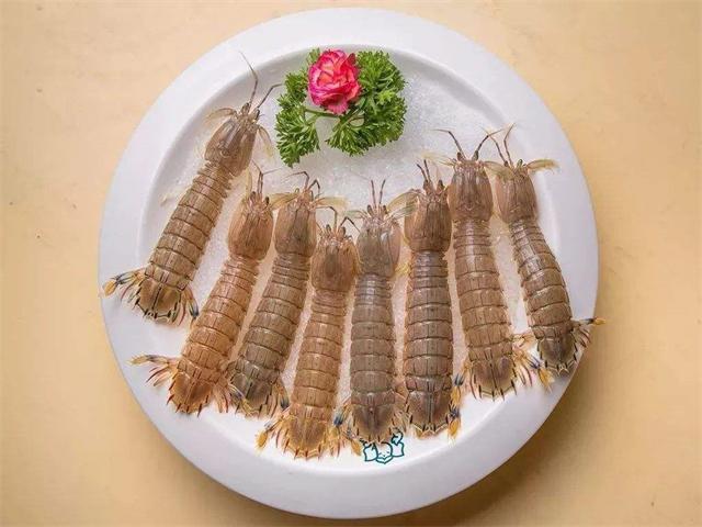 皮皮虾是虾吗?免费阅读无弹窗游戏截图