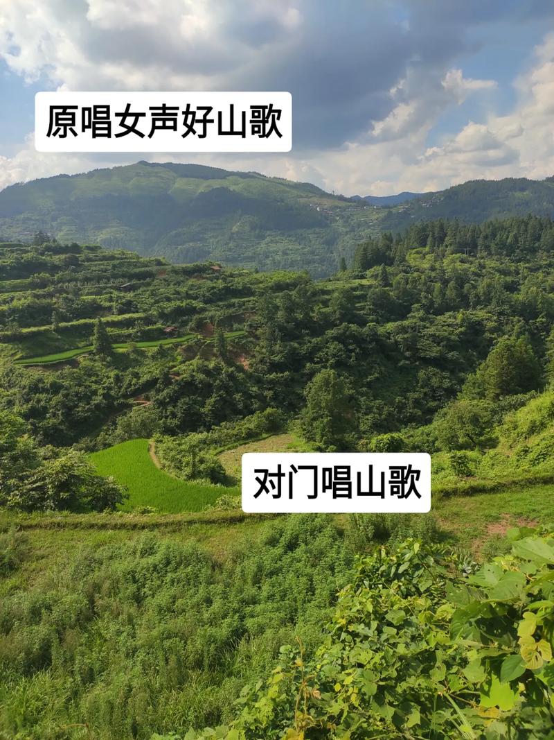 马山伙唱的歌曲