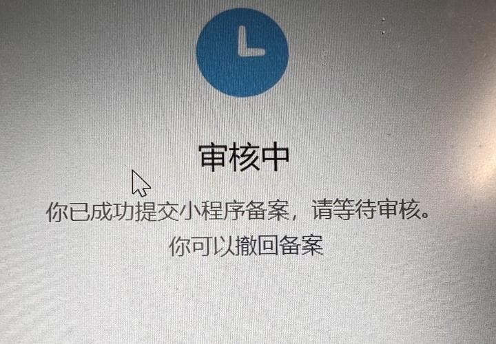 待审核是什么状态