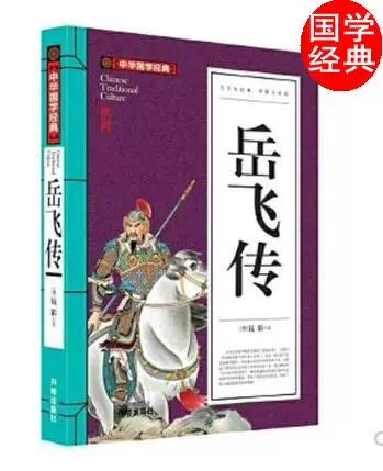 岳飞传在线阅读全文