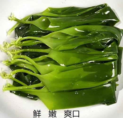 海带是怎么长出来的