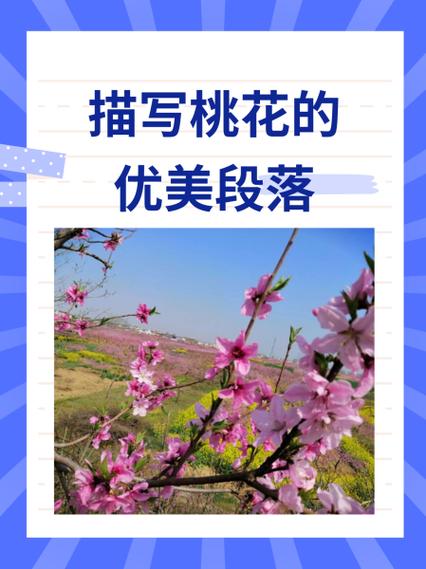 桃花绚烂时免费阅读老版本游戏截图