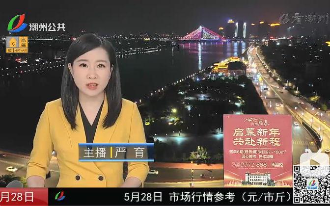 潮州电视台直播观看粉色版本游戏截图