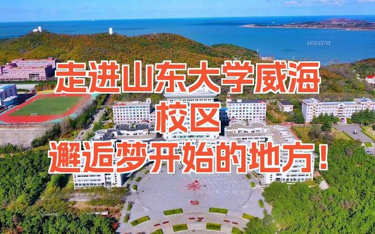 山东大学威海排名全国第几