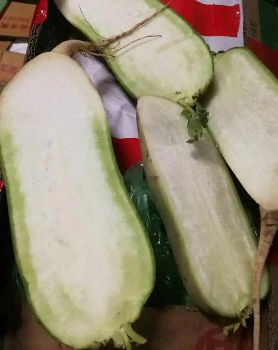 保卫萝卜3账号没了