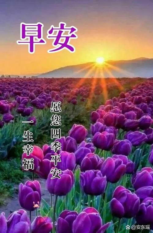 一对一免费聊天室修改版无限vip游戏截图