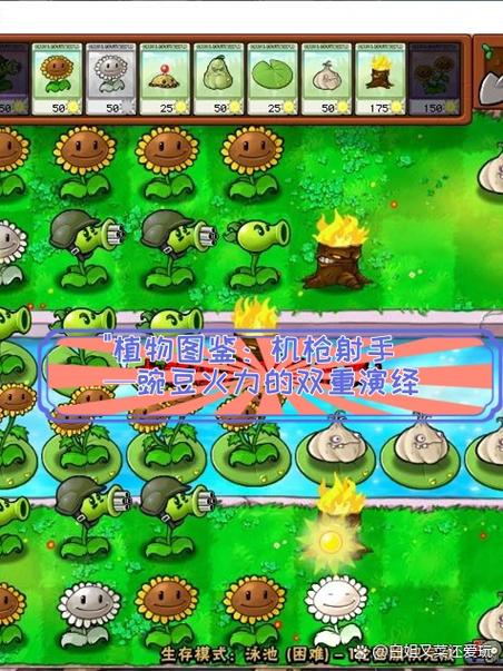 植物大战僵尸植物僵尸2怎么打免费下载游戏截图
