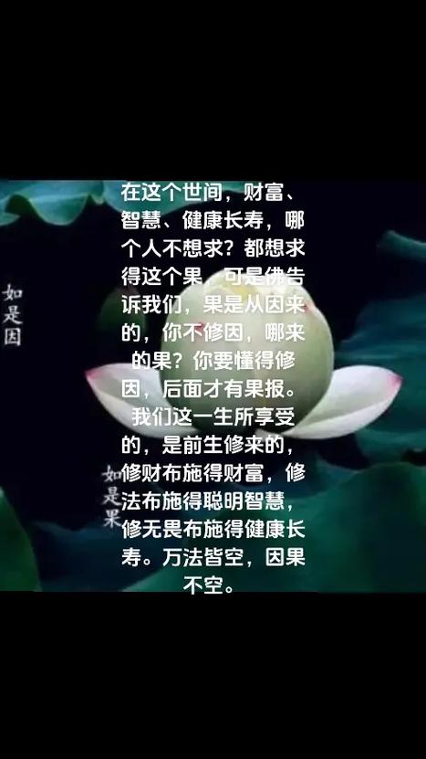 捐赠衣服布施因果