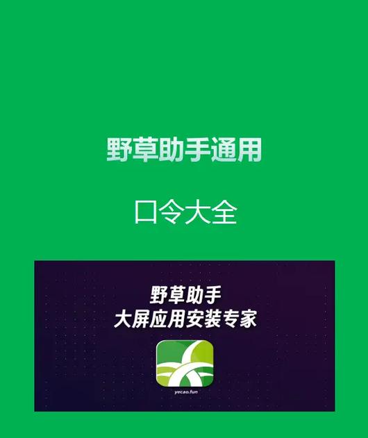 支付宝吱口令的作用