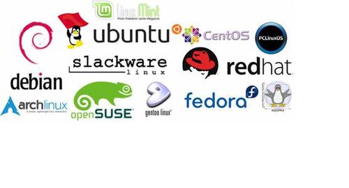 Linux版本