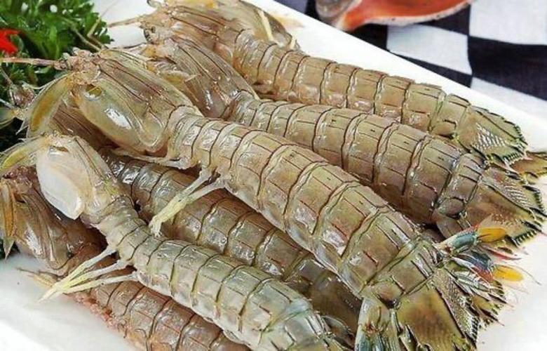 皮皮虾极速版赚钱下载无广游戏截图