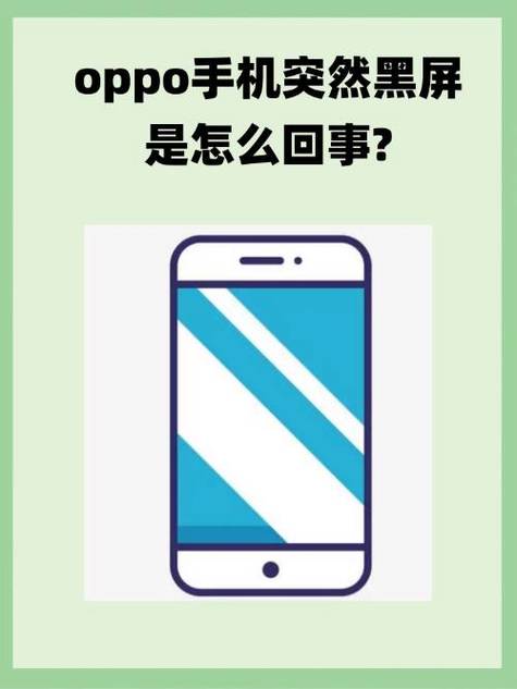 oppo手机进水了黑屏了怎么办