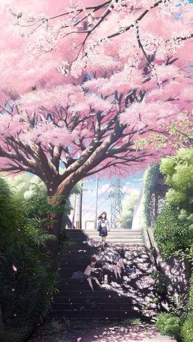 樱花动漫官方版正版网站入口无限时间版游戏截图