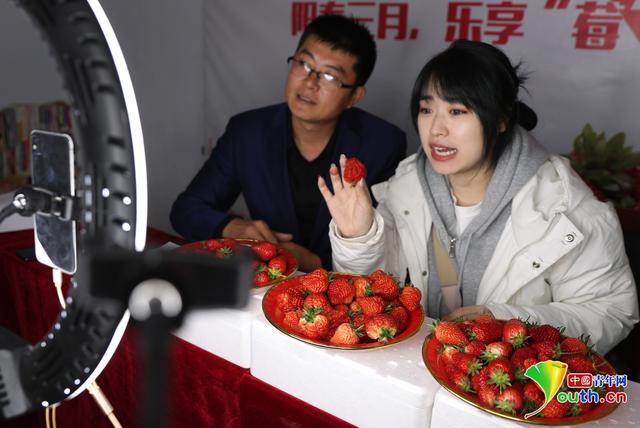 小草莓直播链接免广大量金币游戏截图