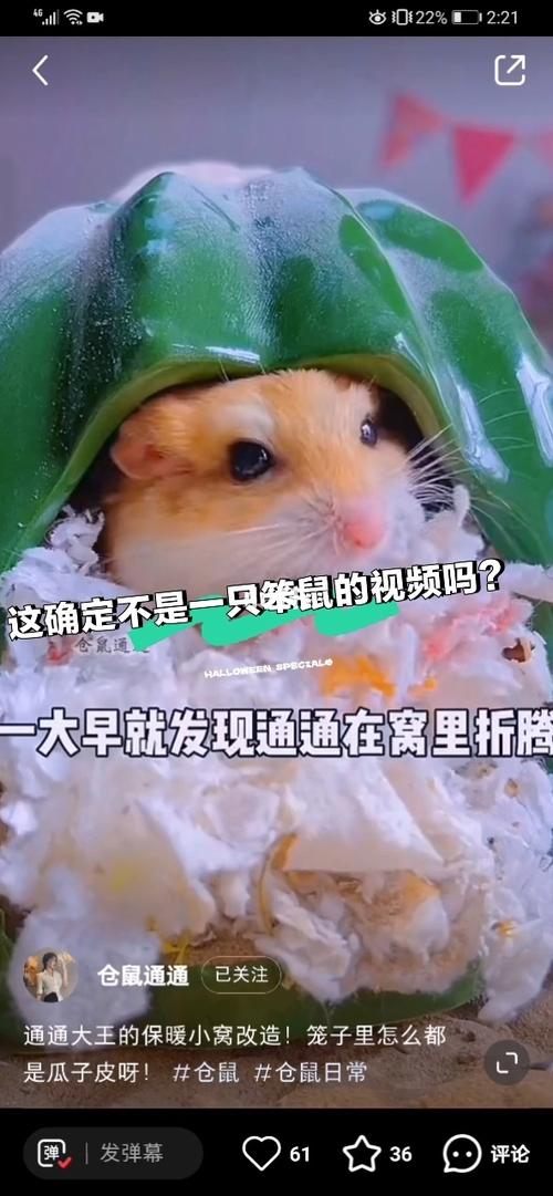 一只笨鼠做下午茶