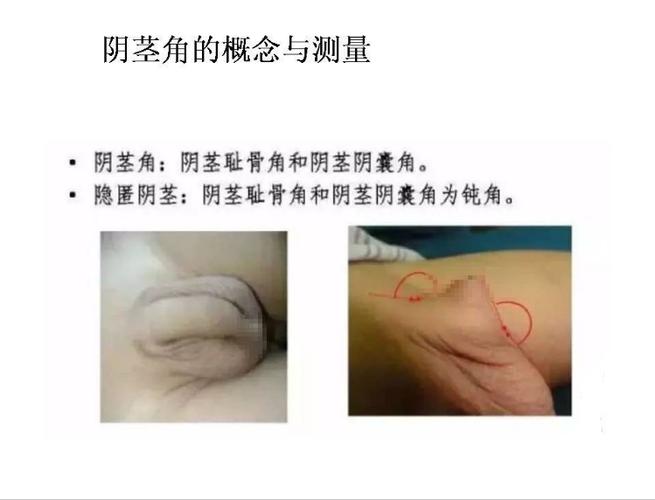 ip地址代理软件黑色老版游戏截图