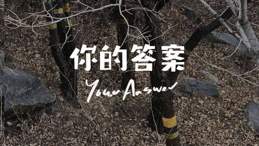 阿冗你的答案表达的感情