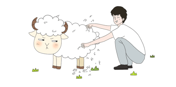薅羊毛了永不升级版游戏截图